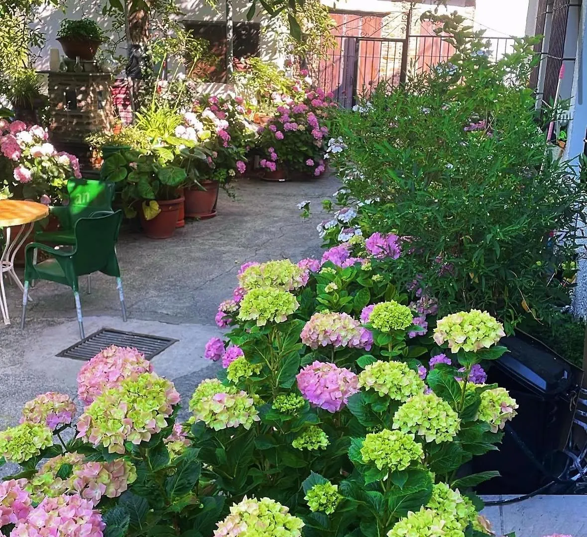 Hostal Rural Las Terrazas De La Alpujarra Bubión Gasthof